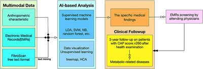 Identify the Characteristics of Metabolic Syndrome and Non-obese Phenotype: Data Visualization and a Machine Learning Approach